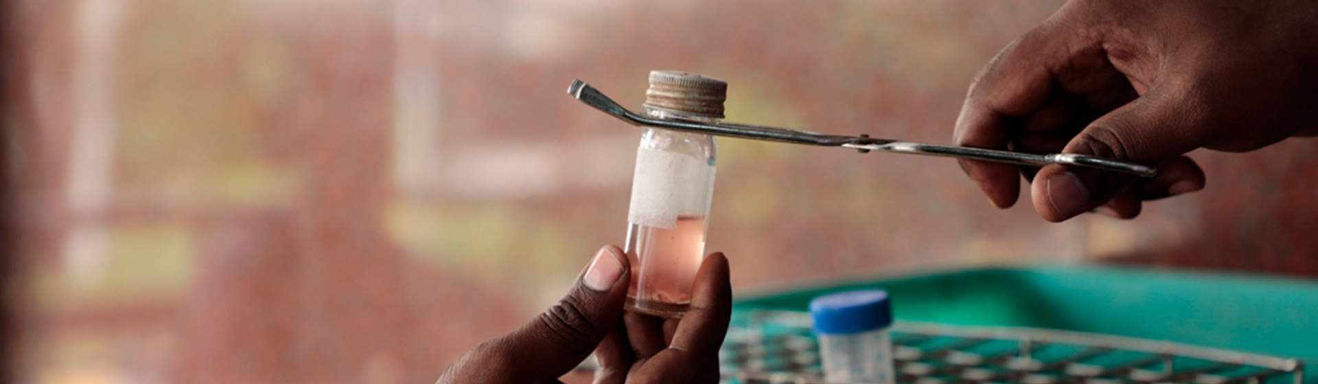 Close-up of laboratory hands handling a sample vial with a pink liquid, showcasing careful lab procedures and hygiene practices.