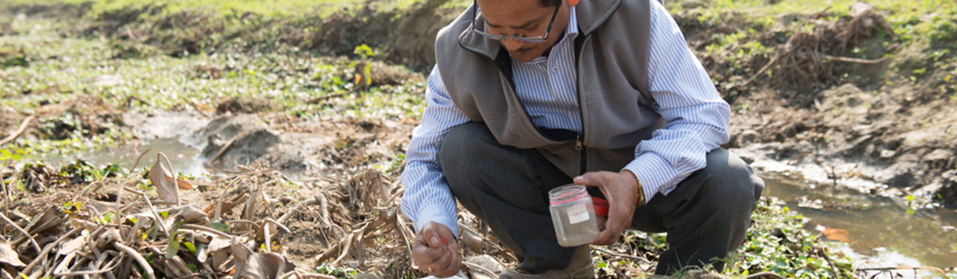 Image of scientist taking sample Image of scientist taking sample