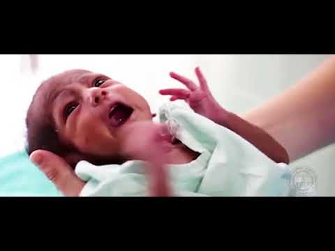 Video of Escape to Anemia