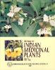 Image of Reviews on Indian Medicinal Plants Vol. 1 (Abe - Alle) 2004 Image of Reviews on Indian Medicinal Plants Vol. 1 (Abe - Alle) 2004