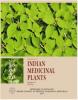Image of Reviews on Indian Medicinal Plants Vol.11 (Fa -Gy) 2013 Image of Reviews on Indian Medicinal Plants Vol.11 (Fa -Gy) 2013