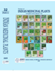 Image of Reviews on Indian Medicinal Plants Volume 32 (Index) 2025